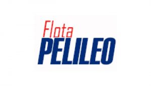 logo de Cooperativa de Transporte Flota Pelileo